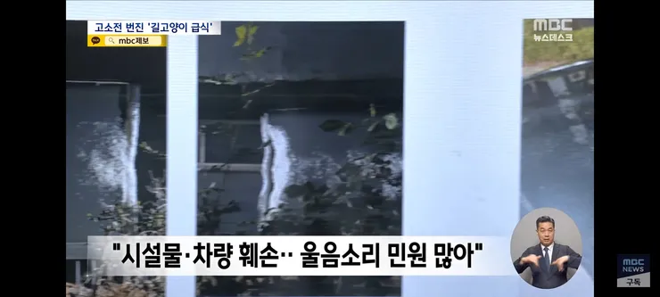고양이 밥 주면 10만 원'에 고소까지‥끝장 갈등 이미지 10
