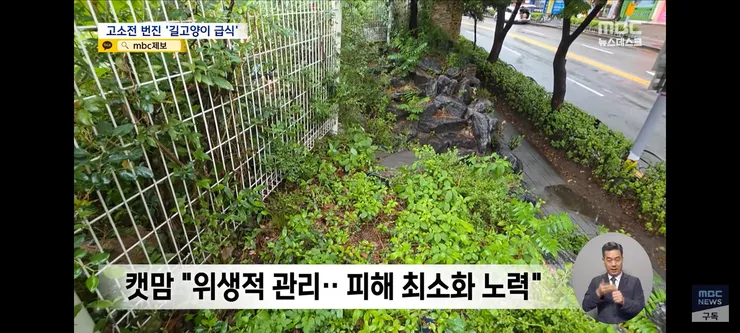 고양이 밥 주면 10만 원'에 고소까지‥끝장 갈등 이미지 12