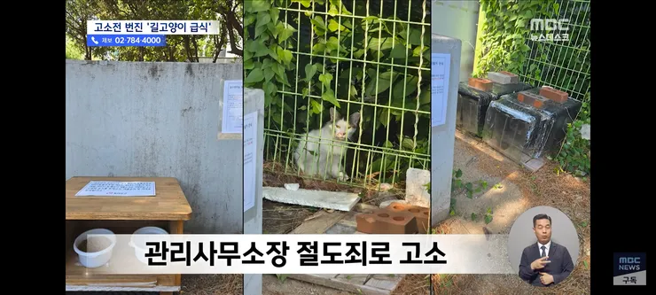 고양이 밥 주면 10만 원'에 고소까지‥끝장 갈등 이미지 13