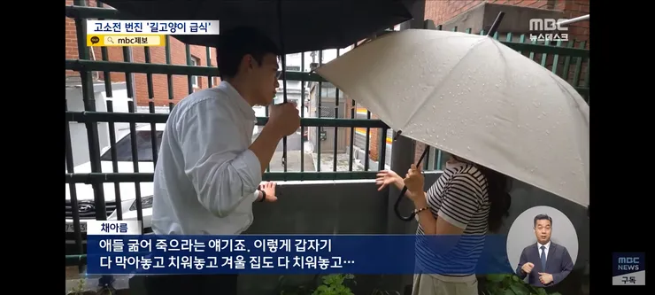 고양이 밥 주면 10만 원'에 고소까지‥끝장 갈등 이미지 14