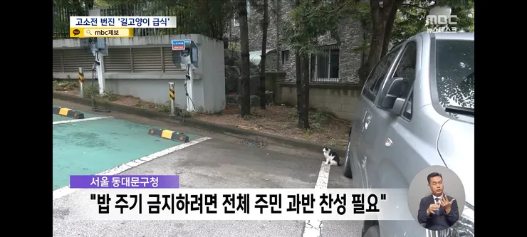 고양이 밥 주면 10만 원'에 고소까지‥끝장 갈등 이미지 17