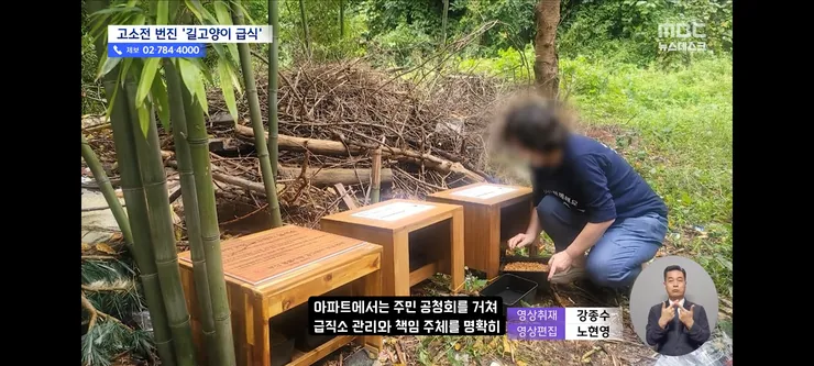 고양이 밥 주면 10만 원'에 고소까지‥끝장 갈등 이미지 18