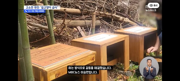 고양이 밥 주면 10만 원'에 고소까지‥끝장 갈등 이미지 19