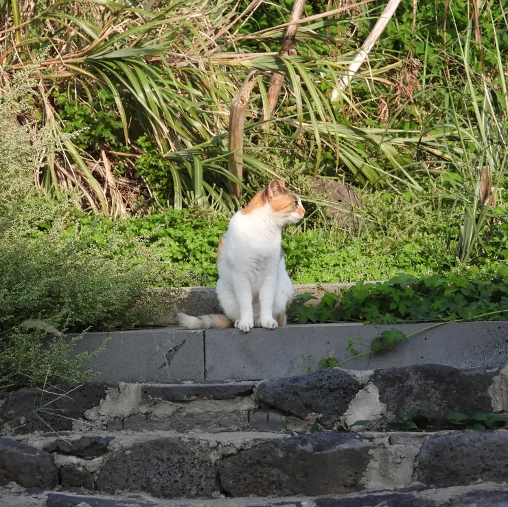 IMG_9388.webp