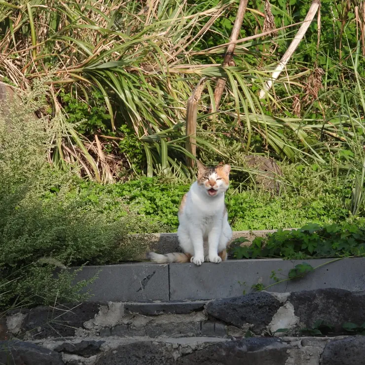 IMG_9389.webp