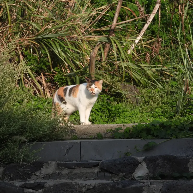 IMG_9390.webp