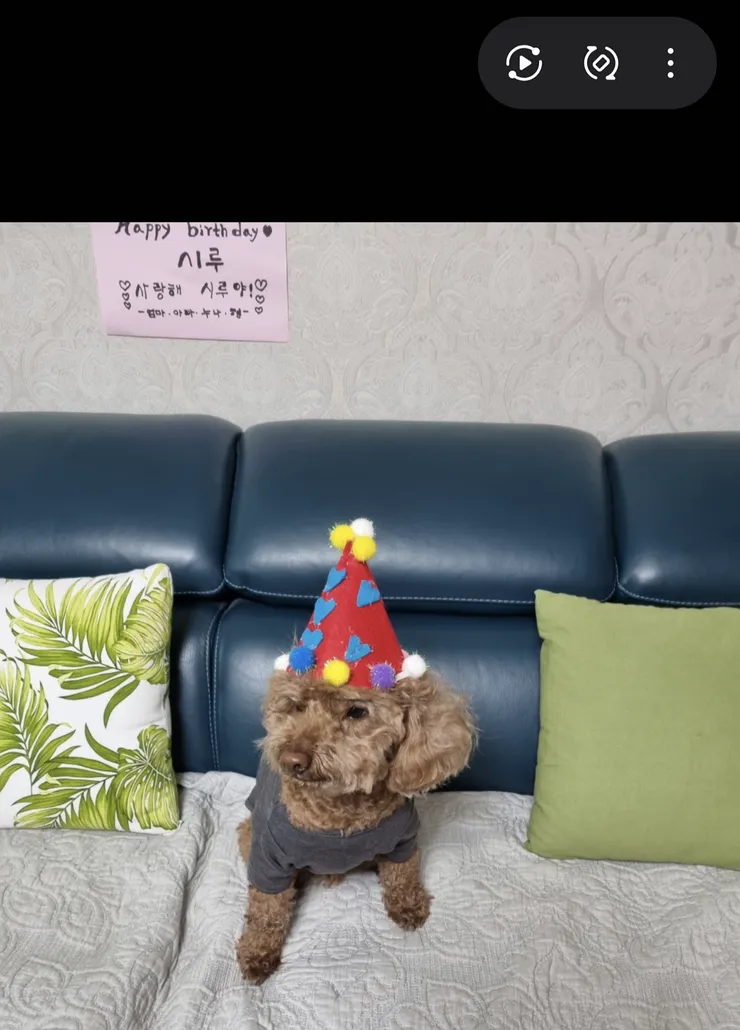 갤럭시 검색 수준이 이정도였나요?! 이미지 3