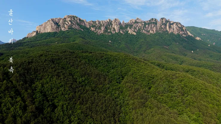 DJI_20260529061205_0001_D_joined_stabilized.00_00_33_37.Still006.jpg