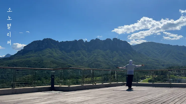 DJI_20260529061205_0001_D_joined_stabilized.00_00_42_16.Still007.jpg