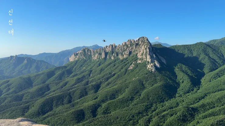 DJI_20260529061205_0001_D_joined_stabilized.00_00_51_55.Still010.jpg