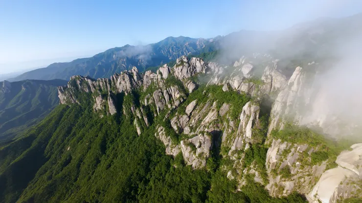DJI_20260529061205_0001_D_joined_stabilized.00_01_03_45.Still011.jpg