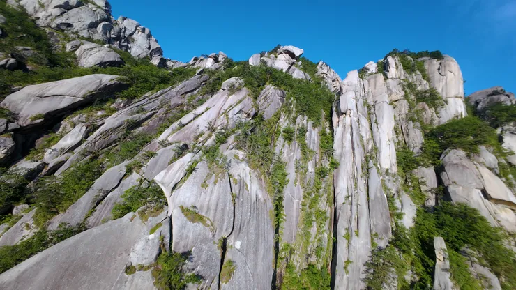 DJI_20260529061205_0001_D_joined_stabilized.00_10_49_33.Still024.jpg
