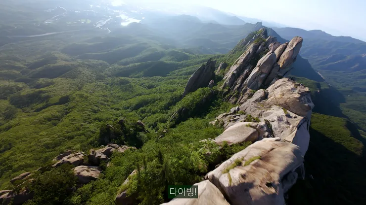 DJI_20260529061205_0001_D_joined_stabilized.00_11_17_08.Still025.jpg
