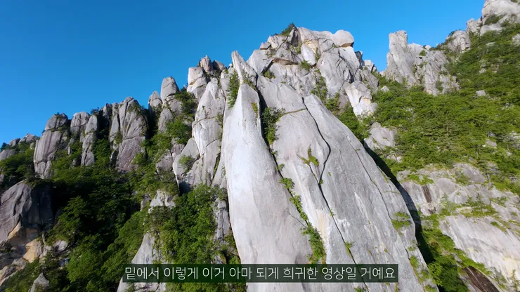 DJI_20260529061205_0001_D_joined_stabilized.00_11_33_16.Still026.jpg