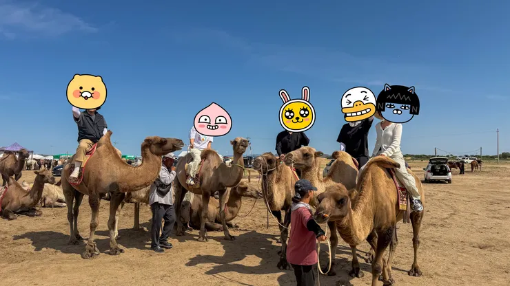 짧게 3박4일 몽골 여행하고 들어갑니다. 이미지 11