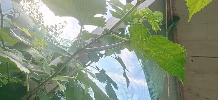 KakaoTalk_20260719_185807620_01.jpg