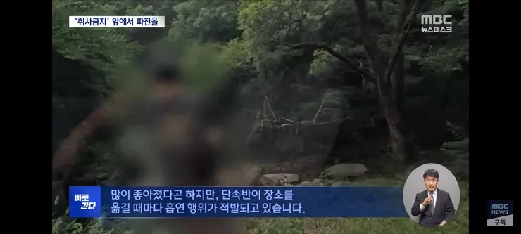 취사·흡연·야영 금지 국립공원‥'몰랐어요, 봐주세요' 올여름도 여전 이미지 11