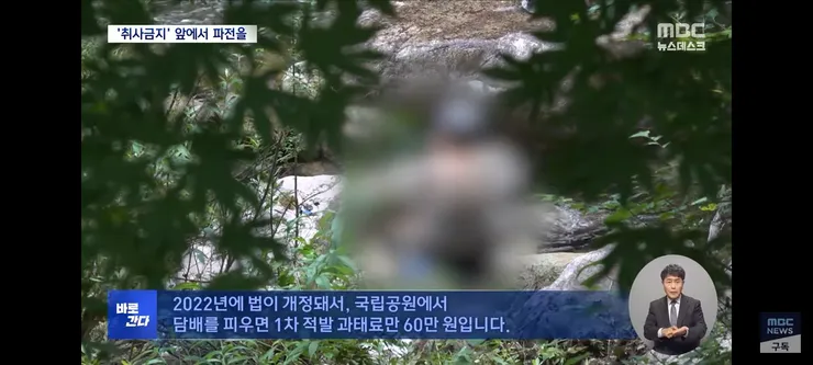 취사·흡연·야영 금지 국립공원‥'몰랐어요, 봐주세요' 올여름도 여전 이미지 12