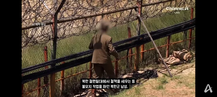 철원에서 귀순했던 북한군 병사는 지뢰 해체 작업하며 귀순 이미지 2