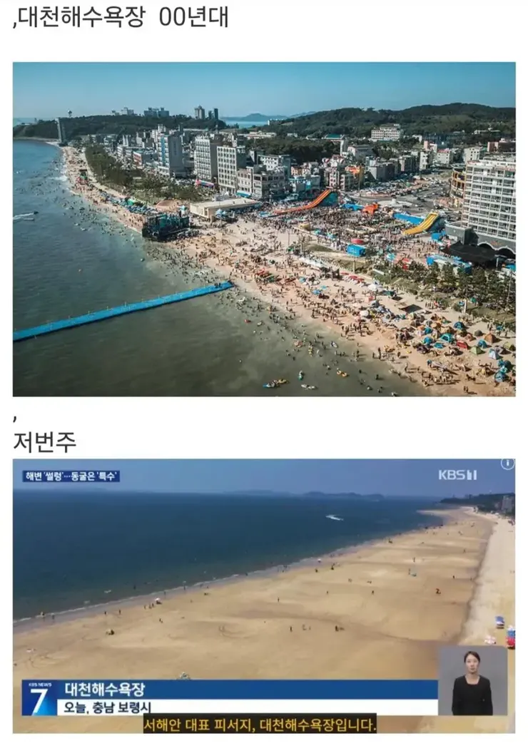 과거와는 다른 요즘 해수욕장 이미지 1