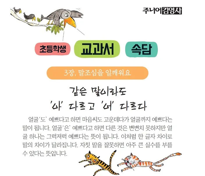 화면 캡처 2026-08-06 204837.png