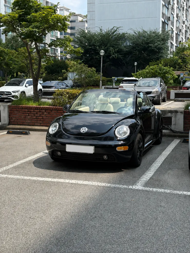 BA6C1175-66BF-460B-9431-DA382F62ADEC.png
