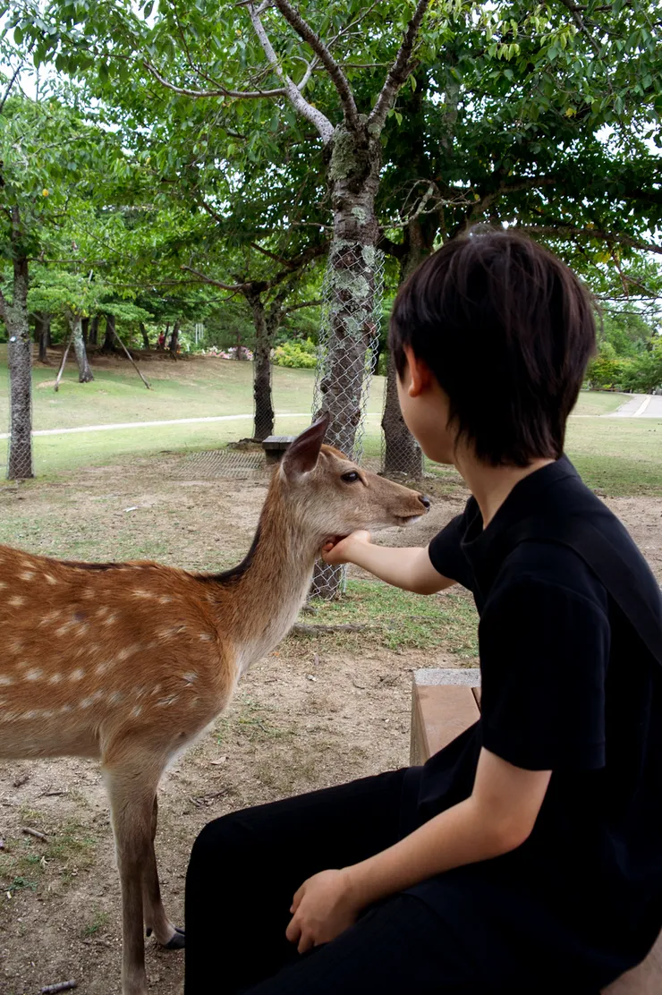 SAM_9316.jpeg