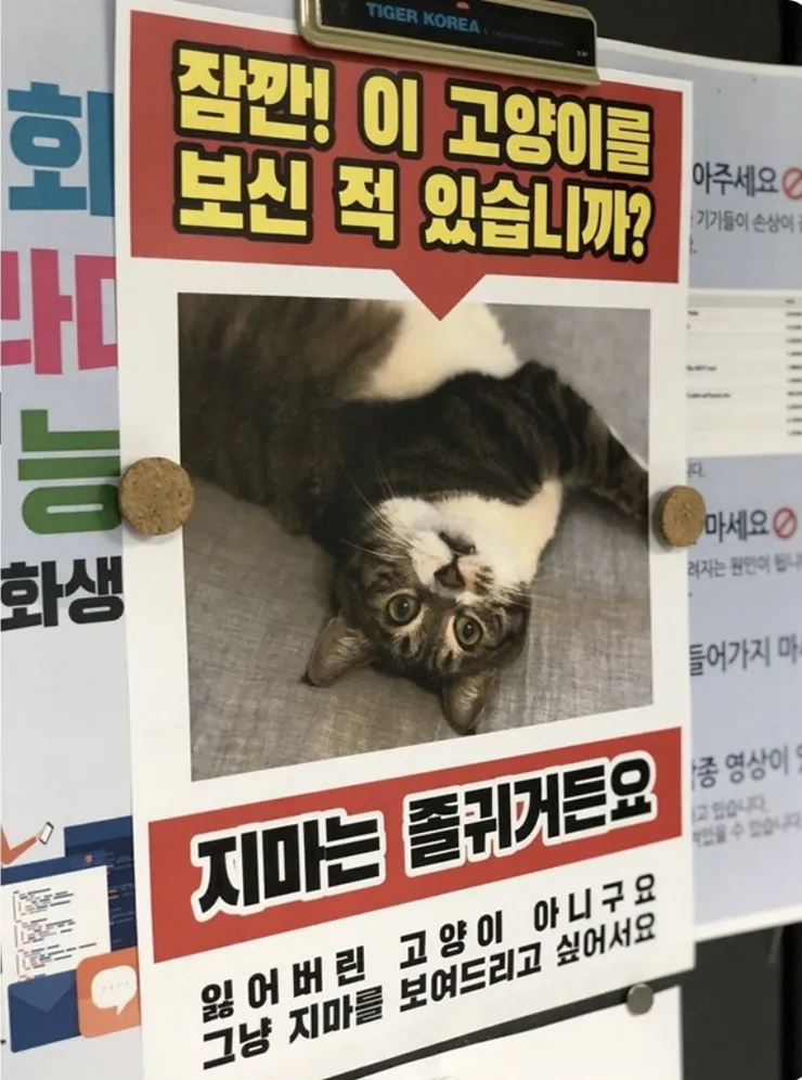 지마.png