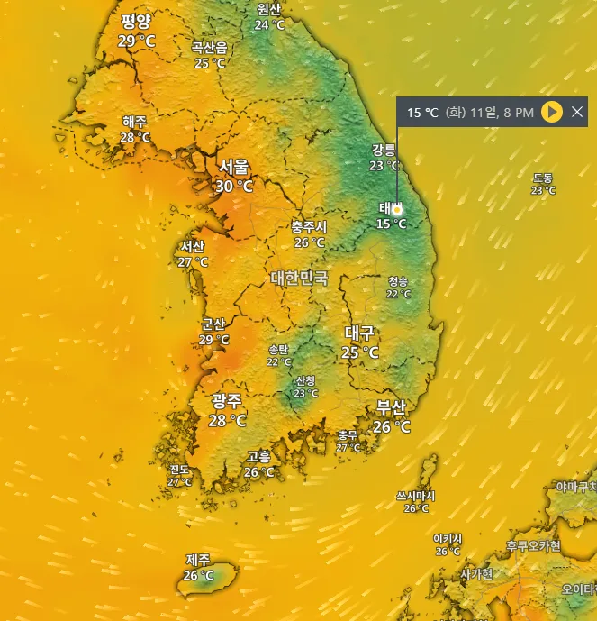 스크린샷 2026-08-11 194517.png