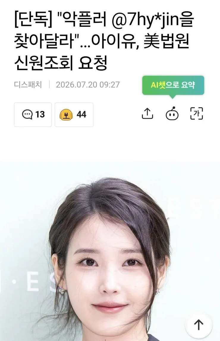 미국 법원에 악플러 찾아달라는 아이유 이미지 1