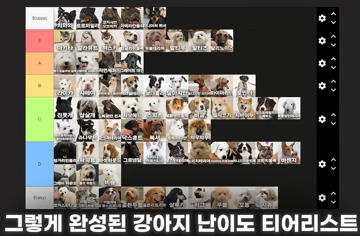 스크린샷 2026-08-13 114045.png
