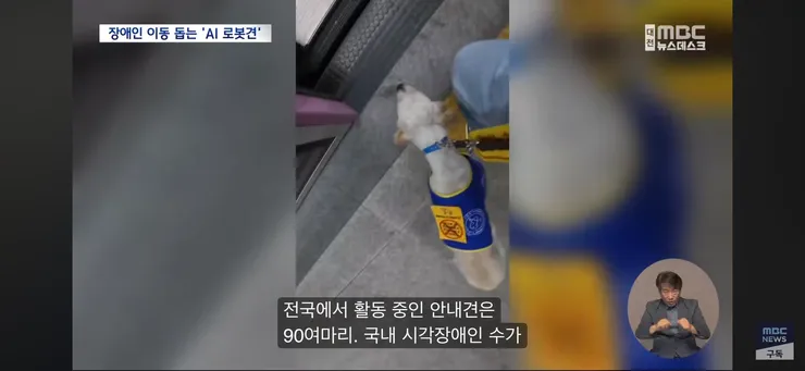 시각장애인 ‘새 눈’ 될까...'AI 안내견' 이미지 10