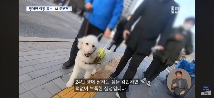시각장애인 ‘새 눈’ 될까...'AI 안내견' 이미지 11