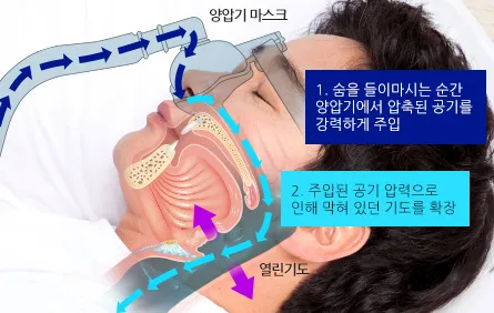 s05_cn01_03.jpg