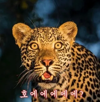 1d4859934a6f5 (전화).jpg