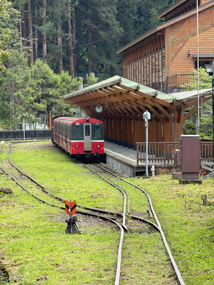 alishan-03.jpg
