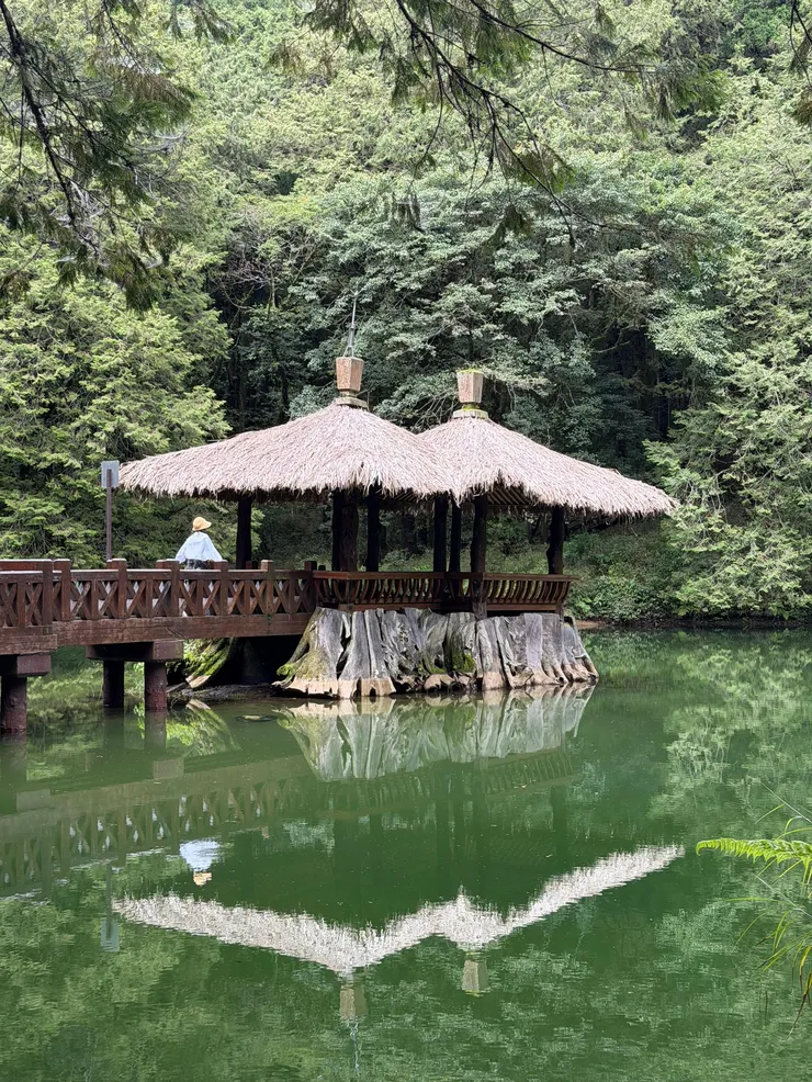 alishan-04.jpg