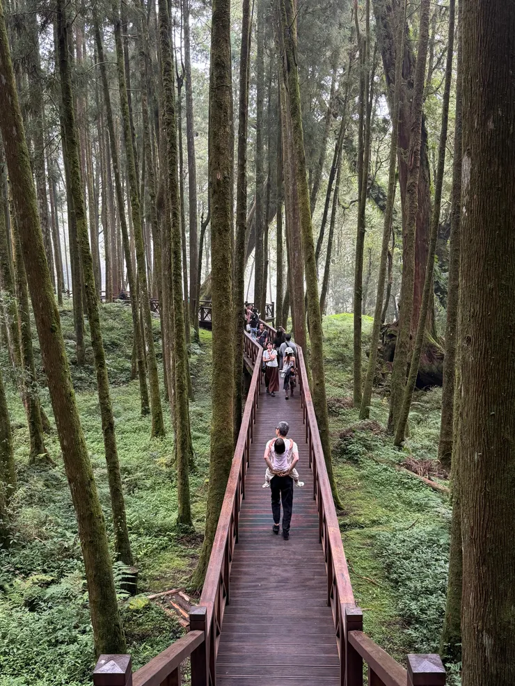 alishan-06.jpg