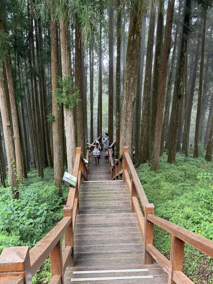 alishan-07.jpg
