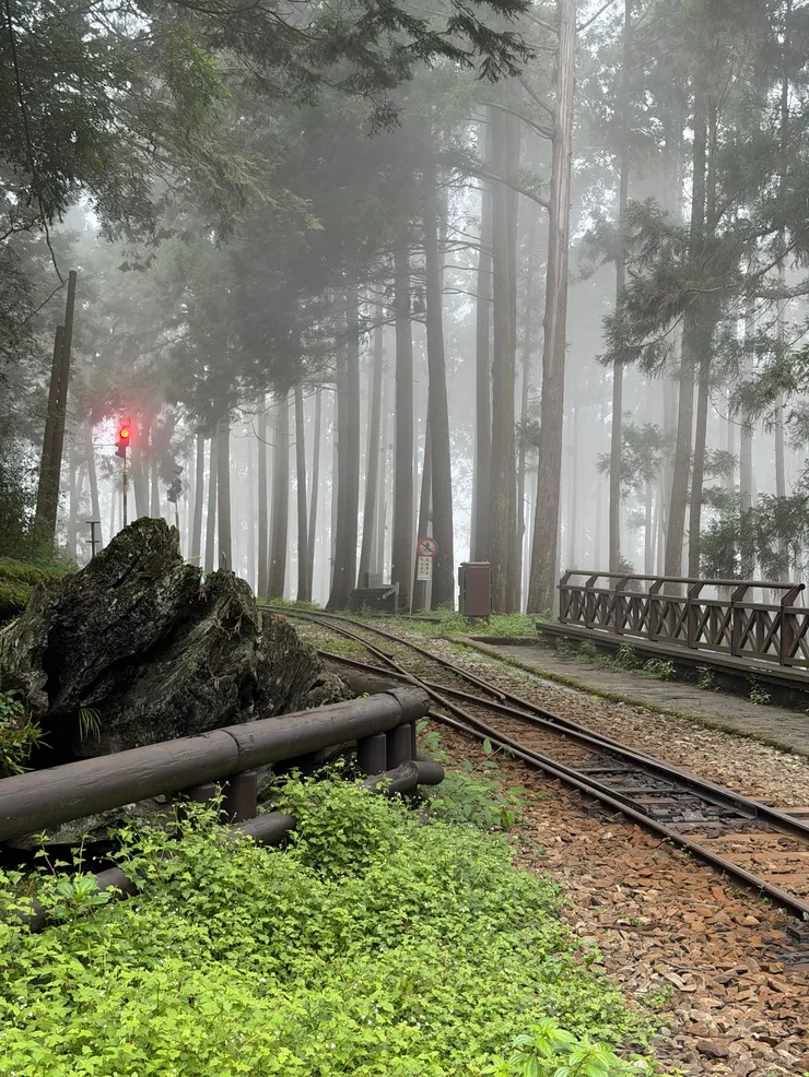 alishan-08.jpg