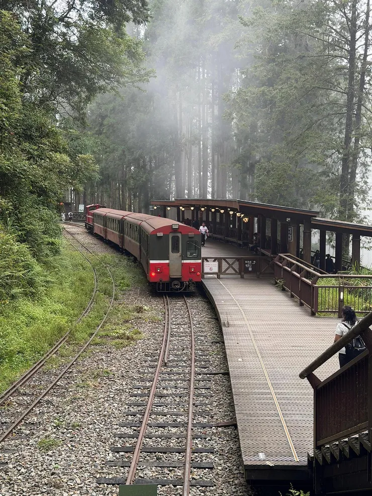 alishan-09.jpg