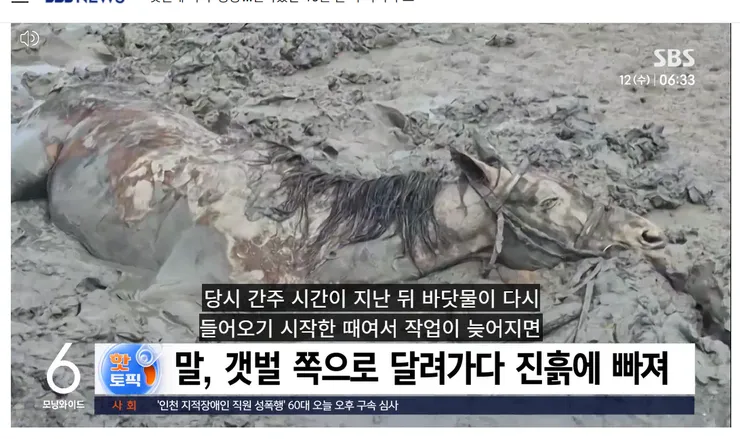 스크린샷 2026-08-22 172516.png