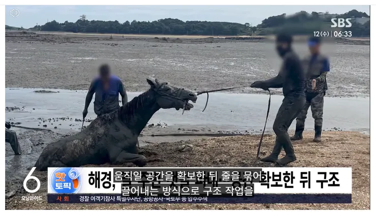 스크린샷 2026-08-22 172550.png