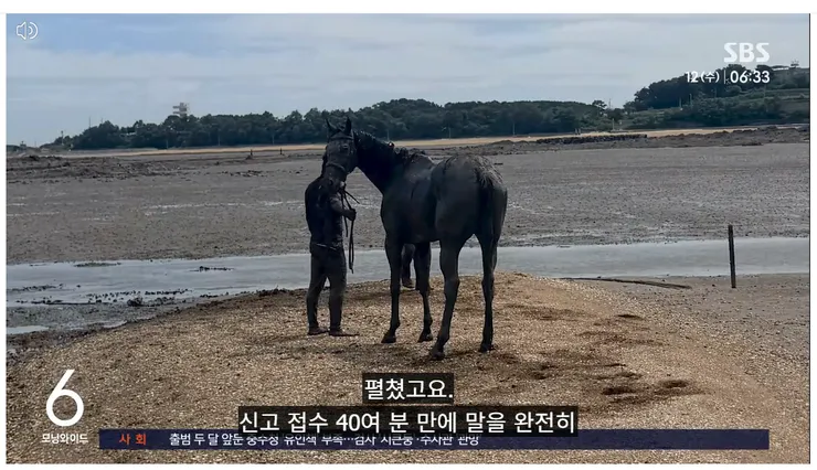 스크린샷 2026-08-22 172530.png