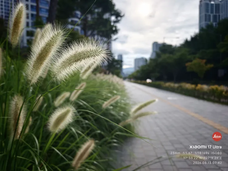 갤럭시도 카메라 센서 좀 신경썼으면 좋겠네요 이미지 3