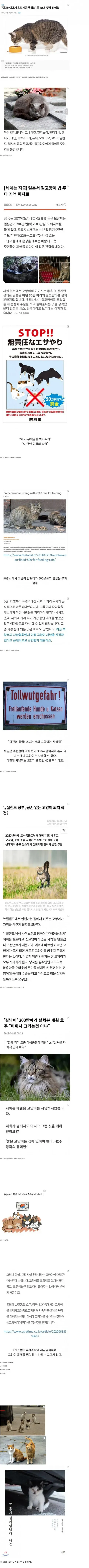 비둘기 유해조수지정되서 먹이주면 안되듯이 고양이도 그렇게하면됩니다. 이미지 1