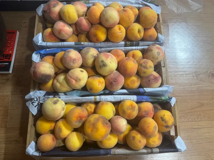 KakaoTalk_20260826_191841345.jpg