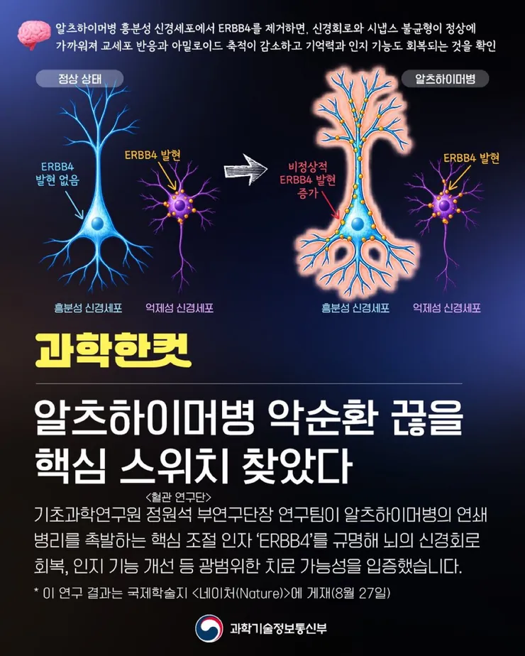 <알츠하이머병 악순환 끊을 핵심 스위치 찾았다> 이미지 1
