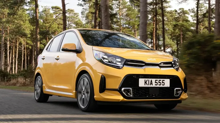 6 picanto.webp