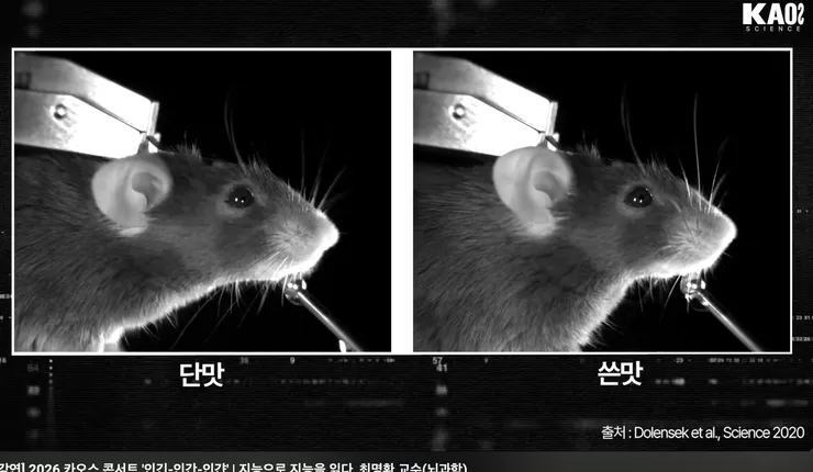 스크린샷 2026-08-31 오후 9.23.06.png